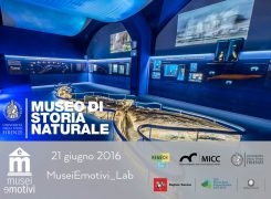 Storie di una Balena | MuseiEmotivi_Lab