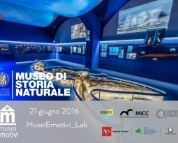 Storie di una Balena | MuseiEmotivi_Lab
