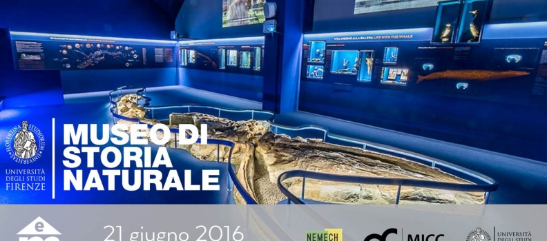 Storie di una Balena | MuseiEmotivi_Lab